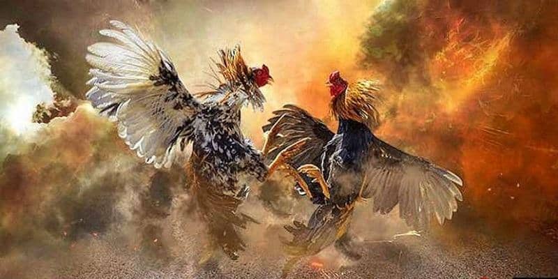 Bí quyết chiến thắng trong tại nhà cái từ những bậc thầy