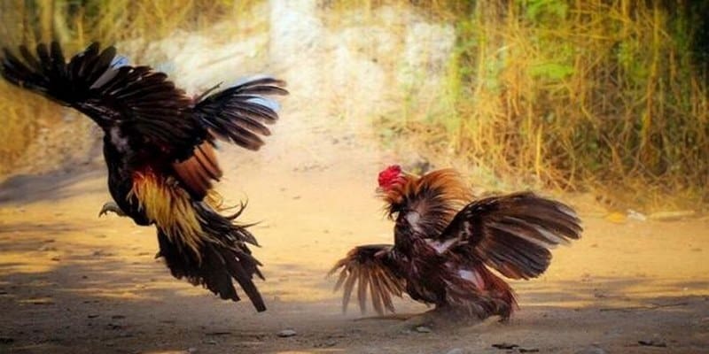 Tạo điều kiện linh hoạt về mặt thời gian trong mọi trường hợp